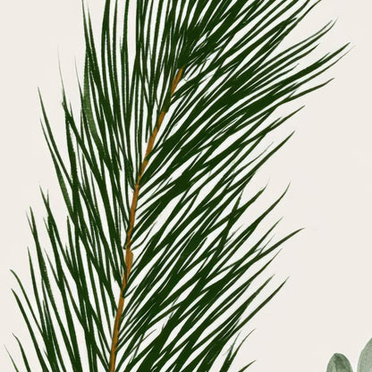 Botanical Specimen Chart close-up detail