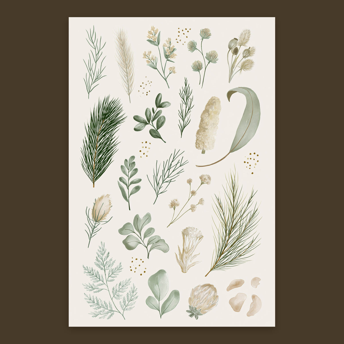 Botanical Specimen Chart – Vintage Illustration Wall Art