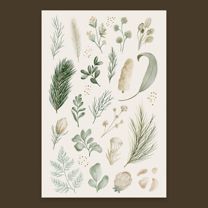Botanical Specimen Chart flat lay