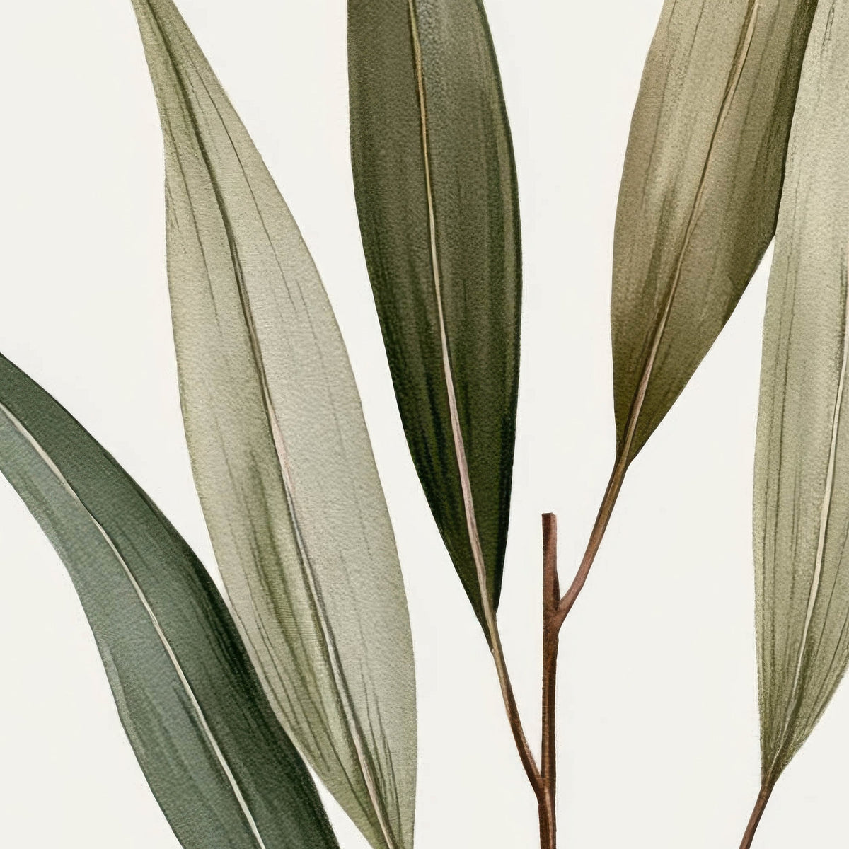 Botanical Sprigs with Papery Seed Pods close-up detail