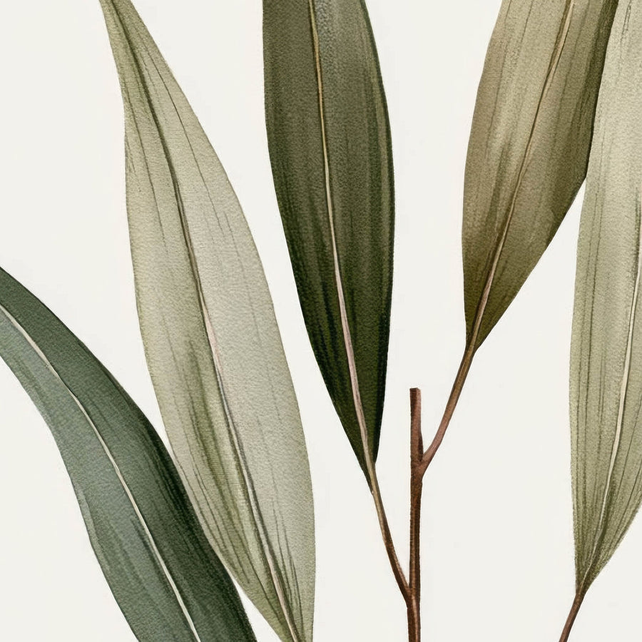 Botanical Sprigs with Papery Seed Pods – Vintage Illustration Wall Art