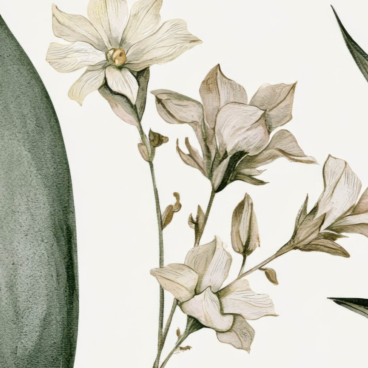 Dried Olive and Tan Leaf Sprigs close-up detail