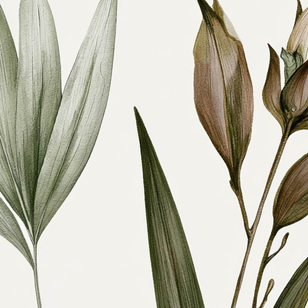 Sage Green Botanical Sprig Print – Vintage Illustration Wall Art