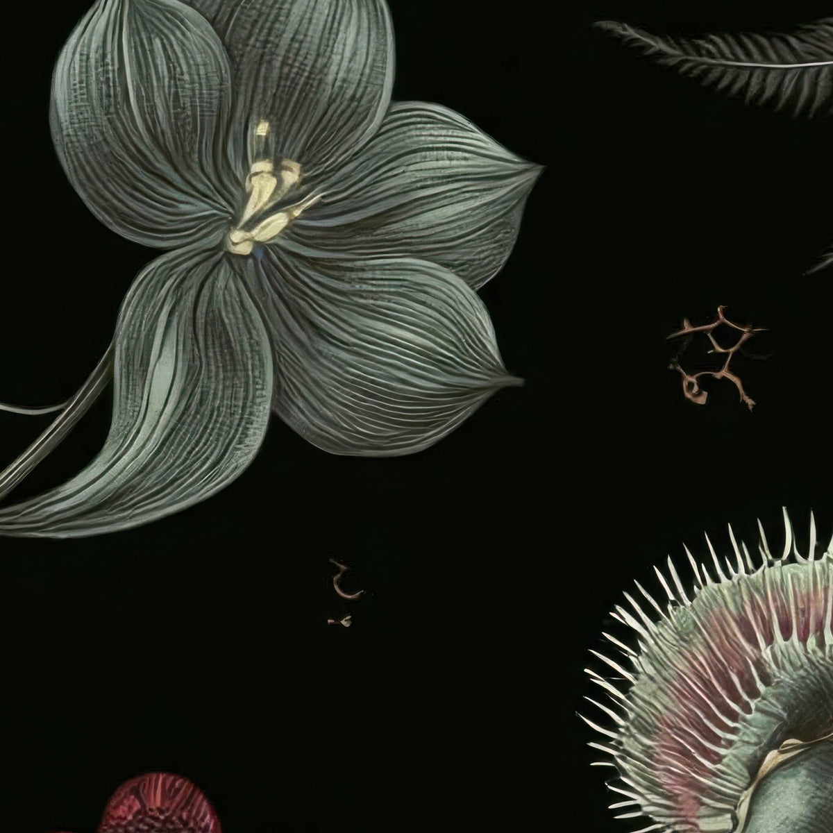Moonlit Fern and Wildflower Illustration close-up detail