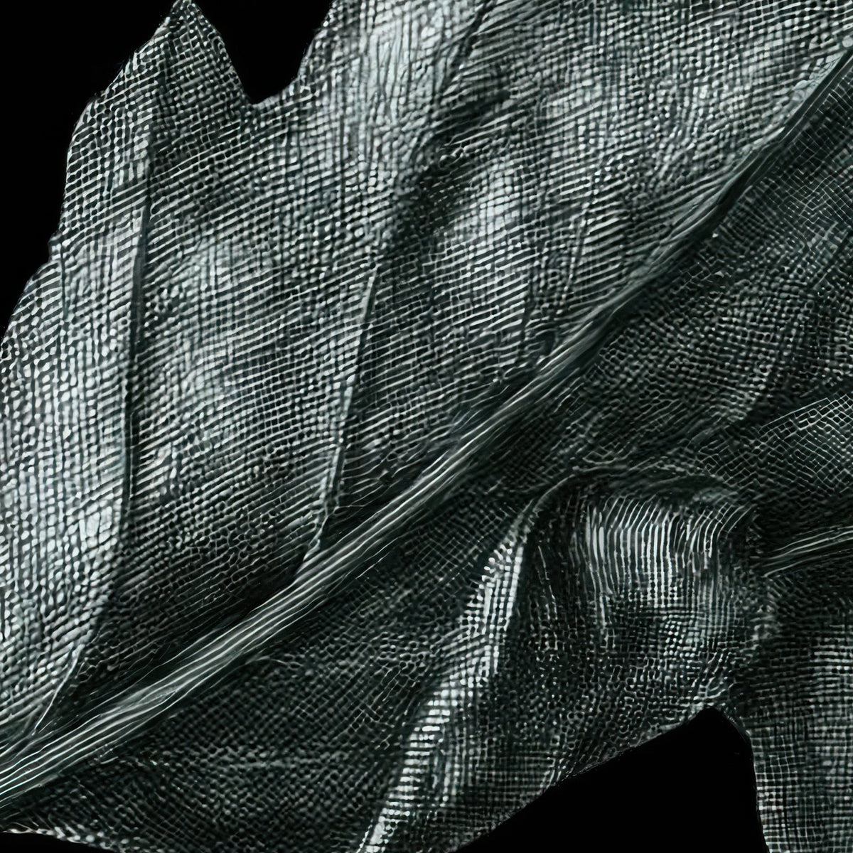 Dark Botanical Still Life close-up detail