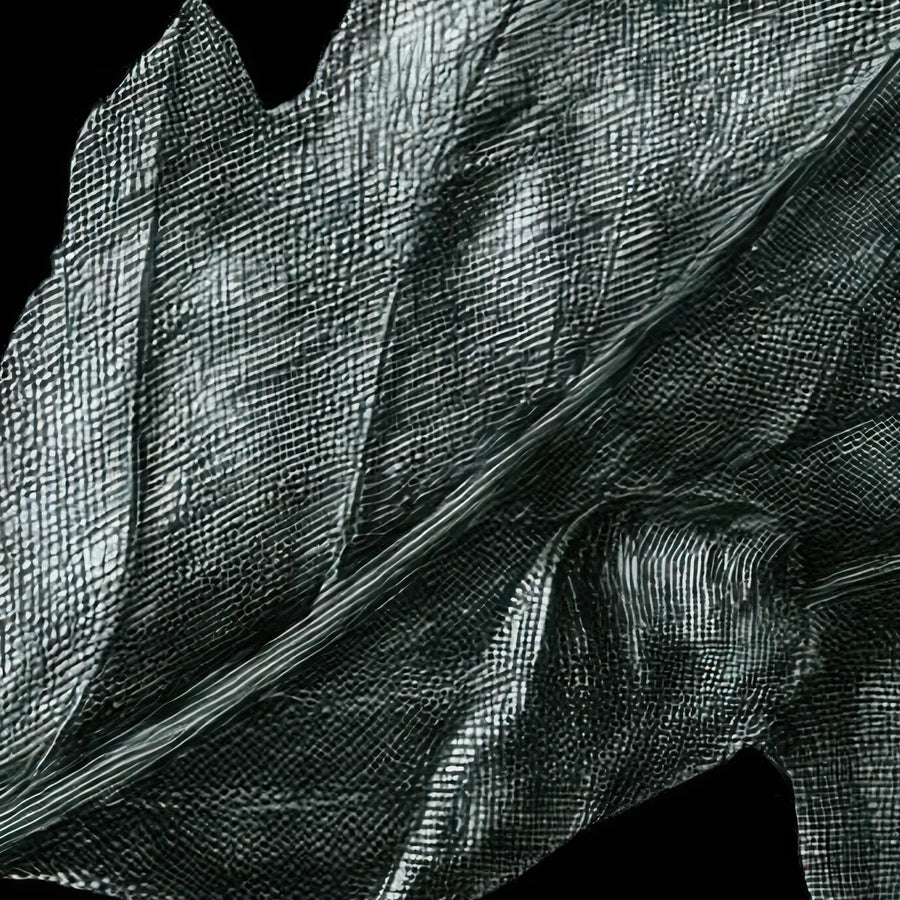 Dark Botanical Still Life – Vamp Romantic Wall Art
