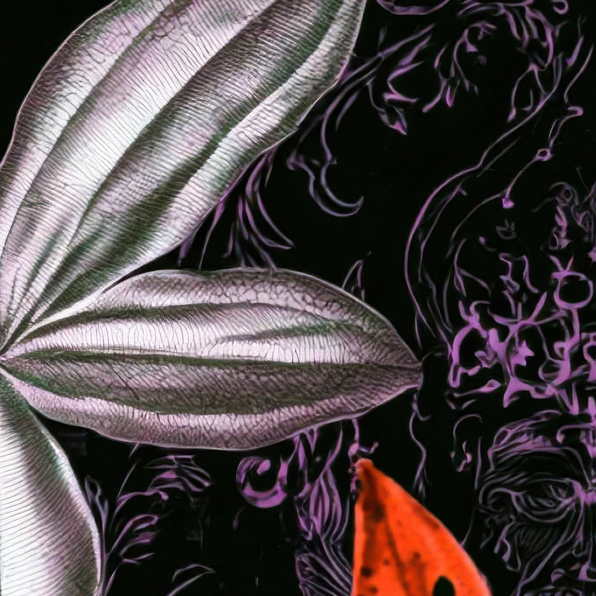 Vivid Dark Floral Illustration close-up detail