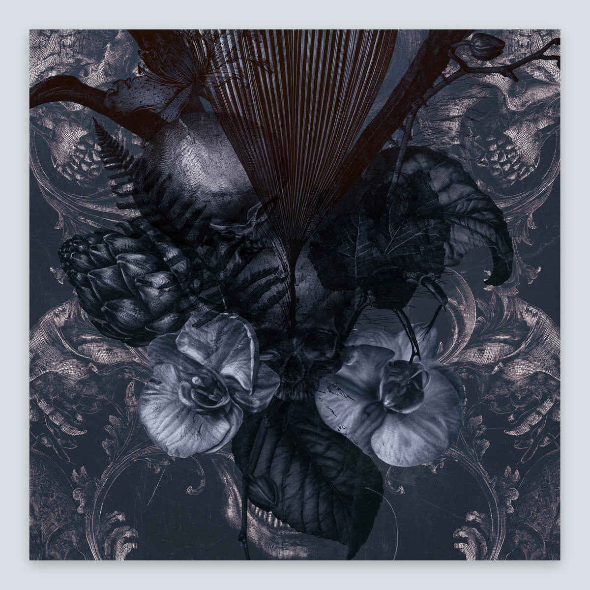 Dark Monochrome Botanical Illustration flat lay