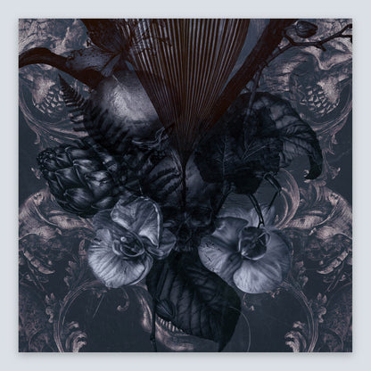 Dark Monochrome Botanical Illustration flat lay