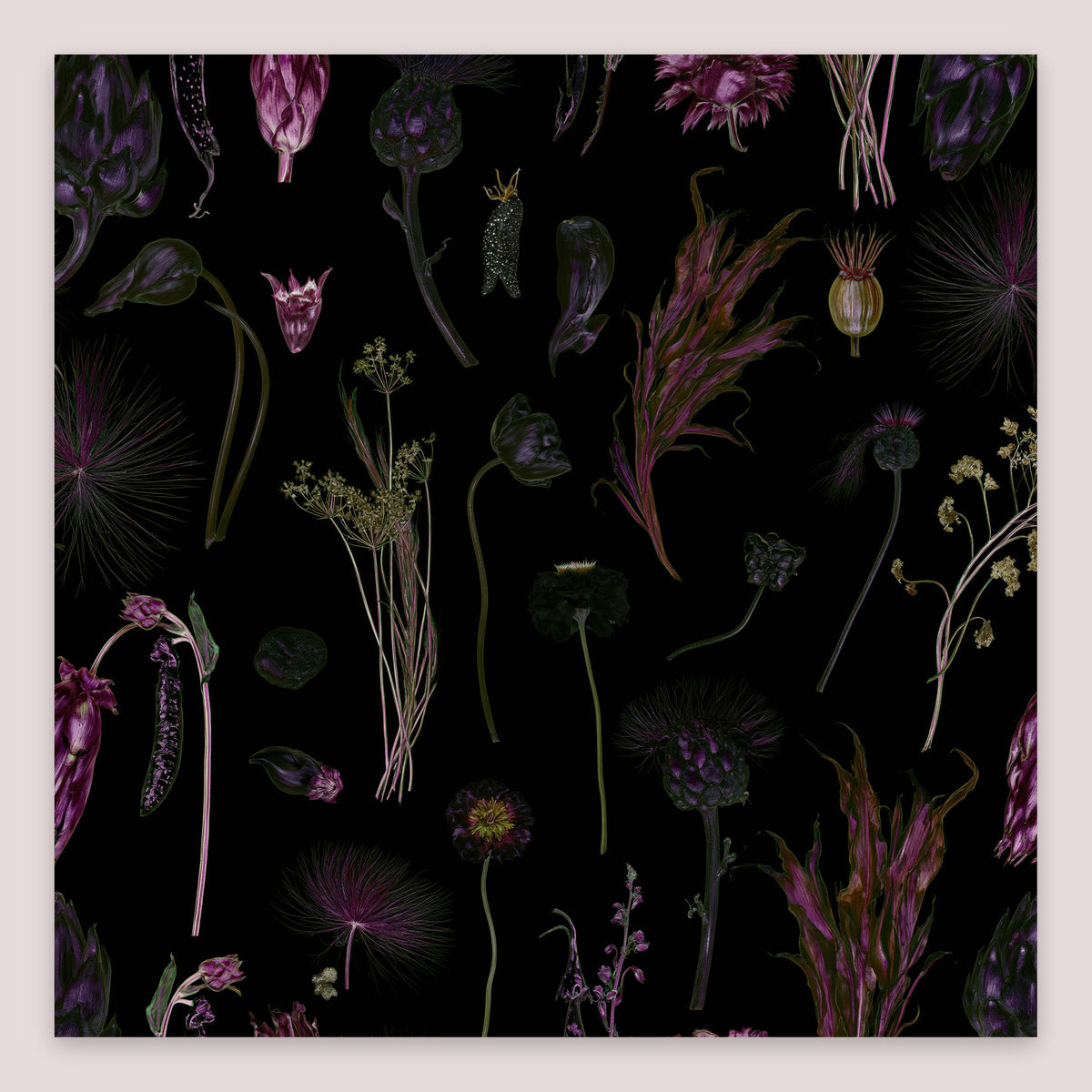 Dark Botanical Specimen Chart flat lay
