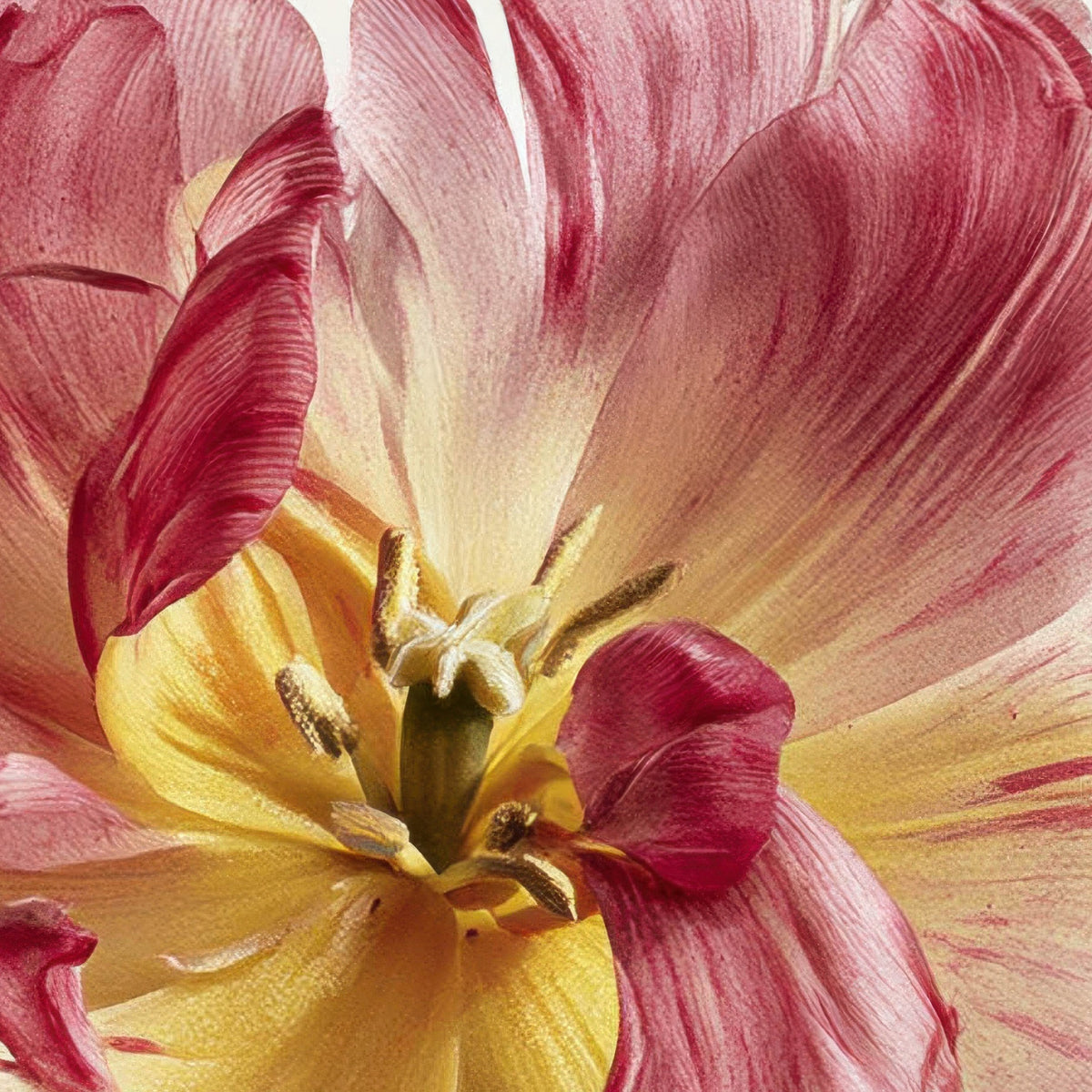 Tulips and Wildflowers on Cream close-up detail