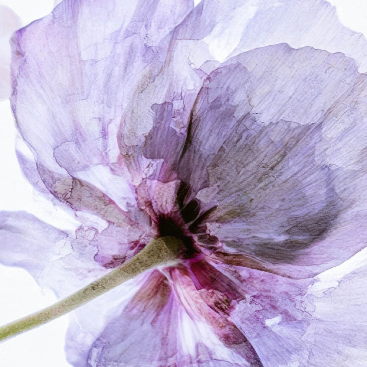 Pink and Lavender Bouquet close-up detail