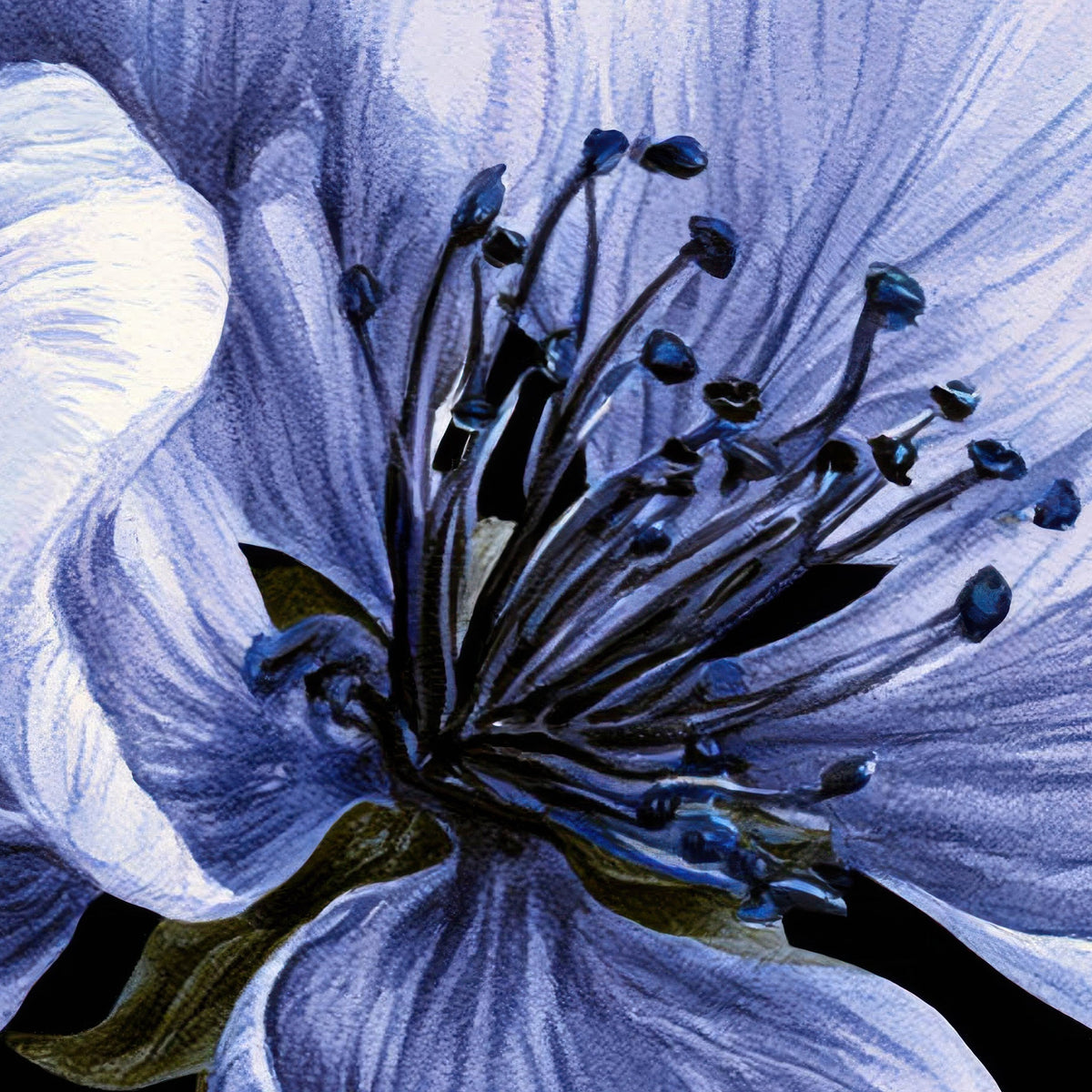 Periwinkle Blossom Pattern on Black close-up detail