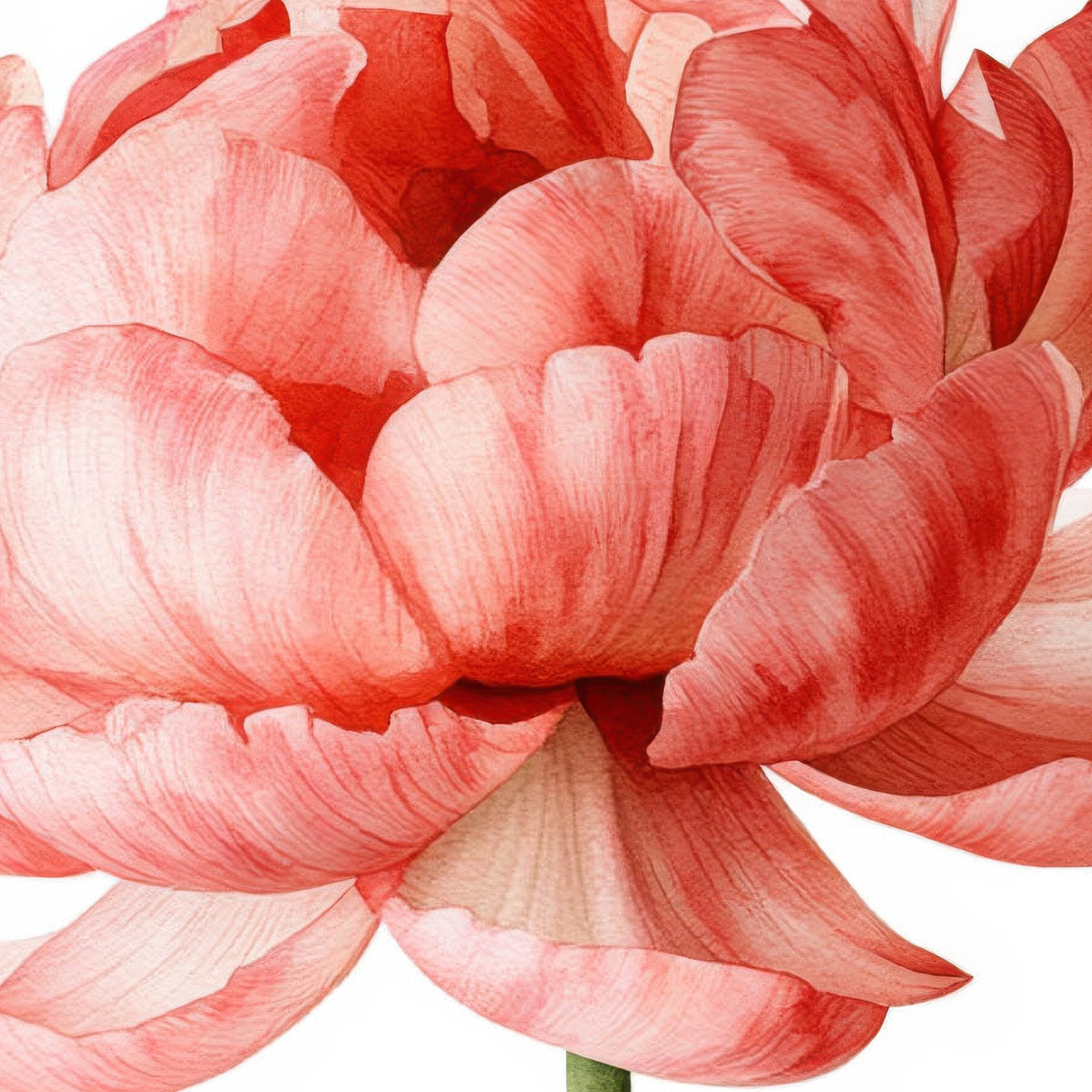 Pink Blooms in a Row close-up detail