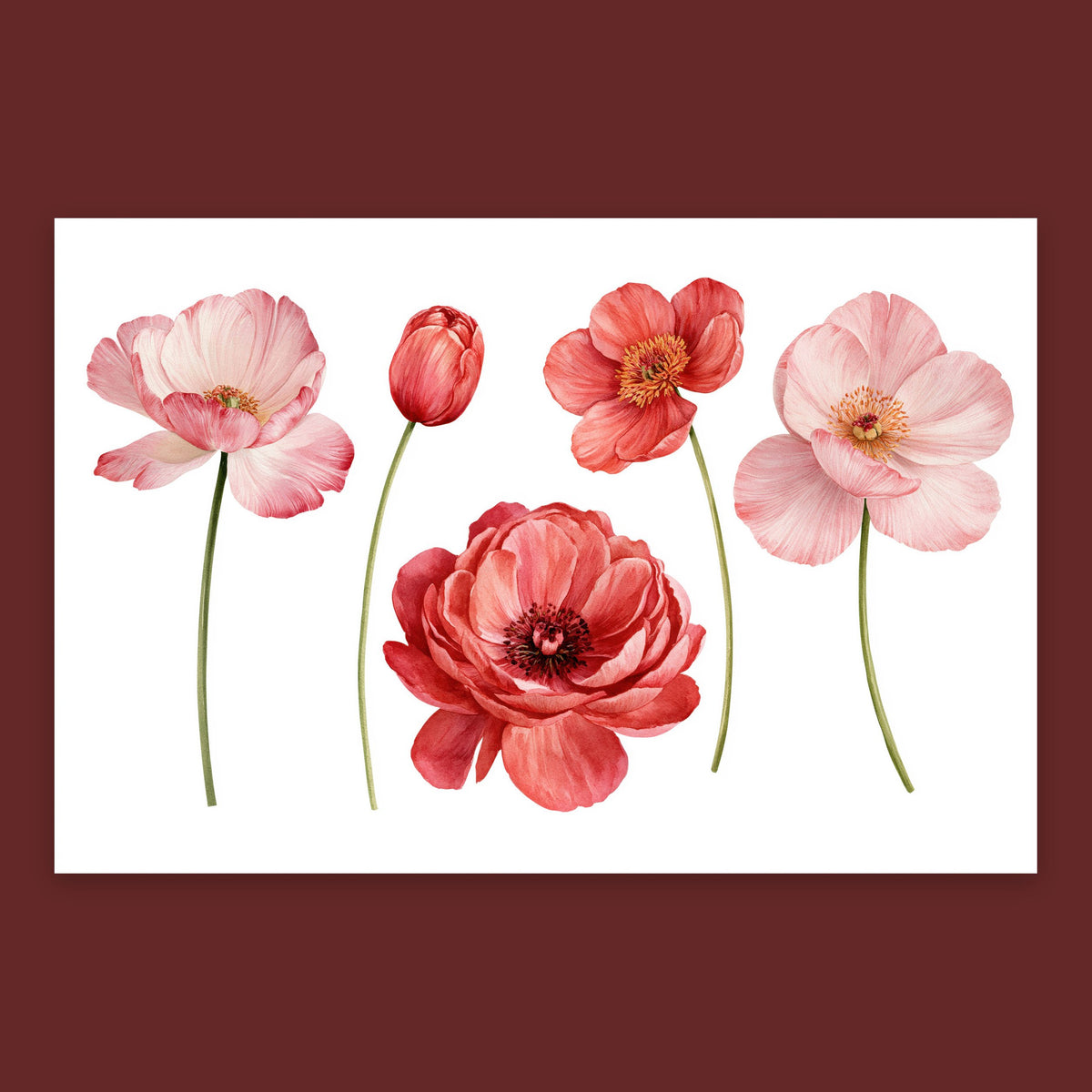 Pink and Red Poppies in a Row flat lay