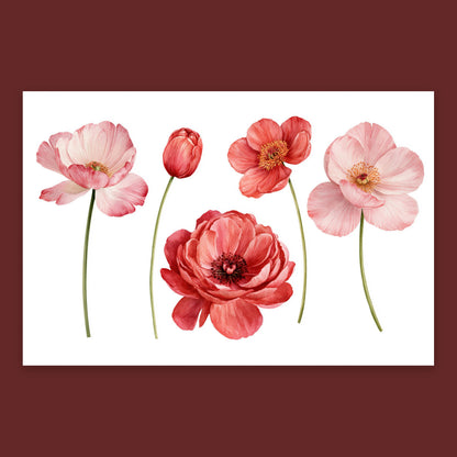 Pink and Red Poppies in a Row flat lay