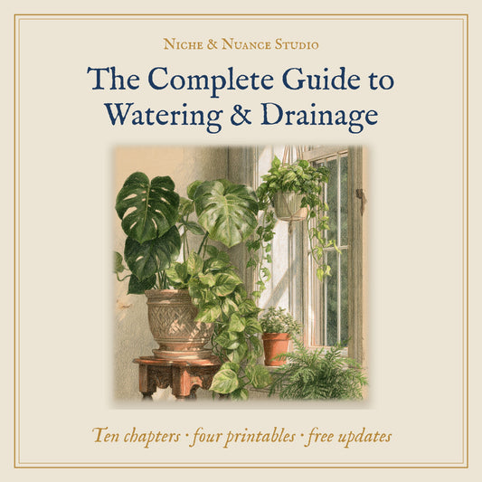 The Complete Guide to Watering & Drainage