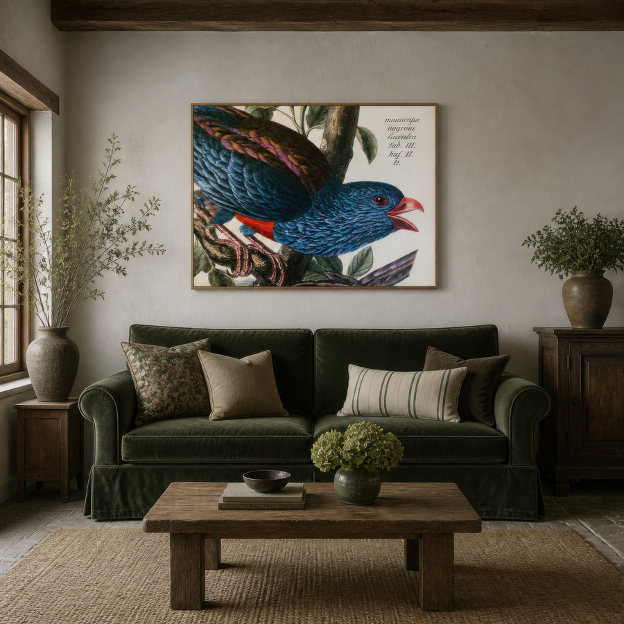 Antique Blue-Feathered Bird Illustration – Vintage Illustration Wall Art