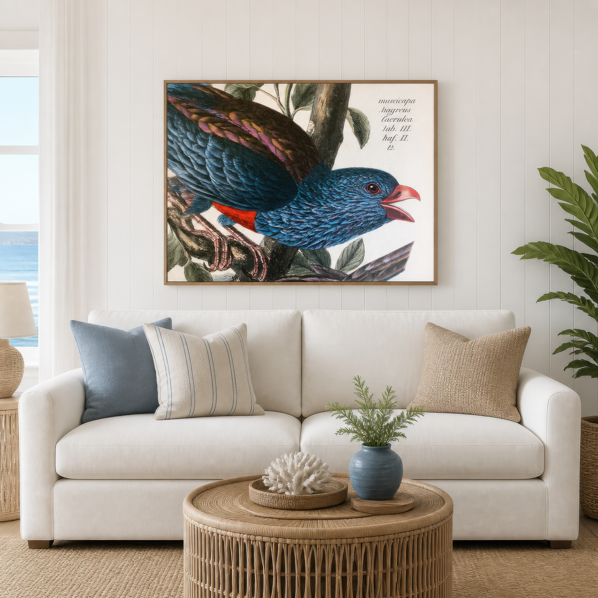 Antique Blue-Feathered Bird Illustration – Vintage Illustration Wall Art