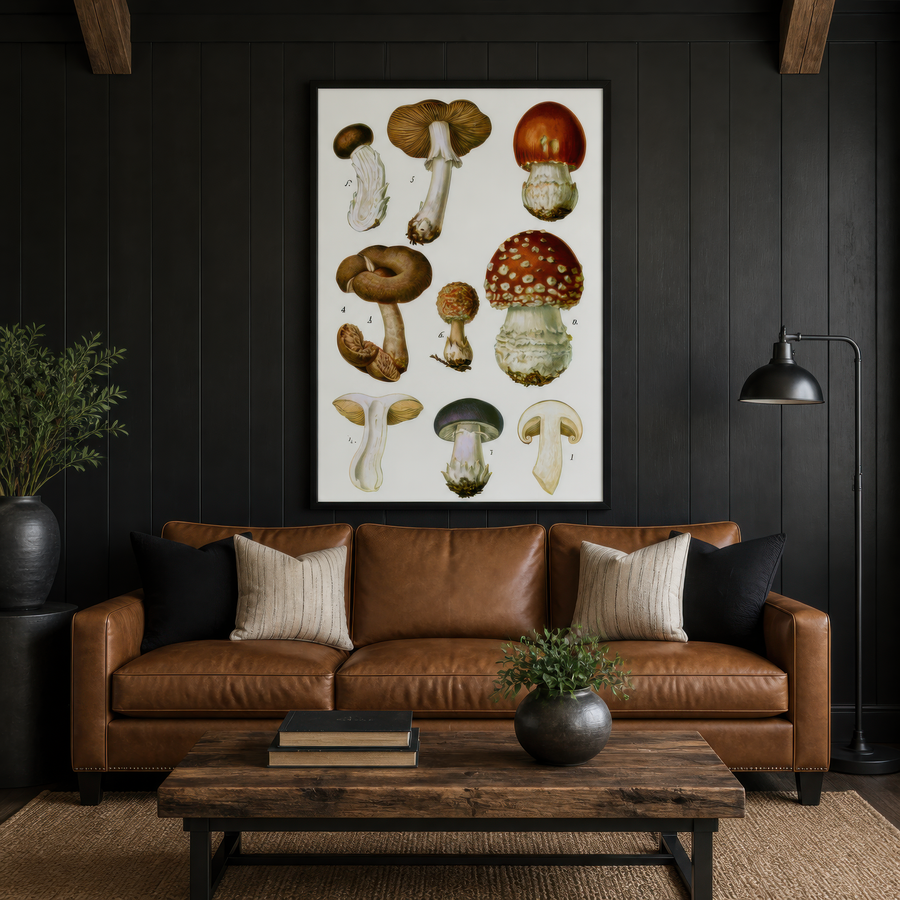 Antique Numbered Mushroom Plate – Vintage Illustration Wall Art